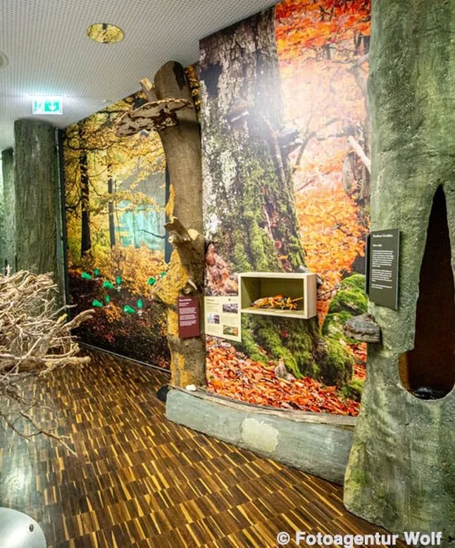NationalparkZentrum